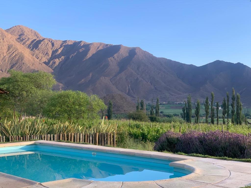 Miraluna Bodega Boutique Cachí Exteriör bild