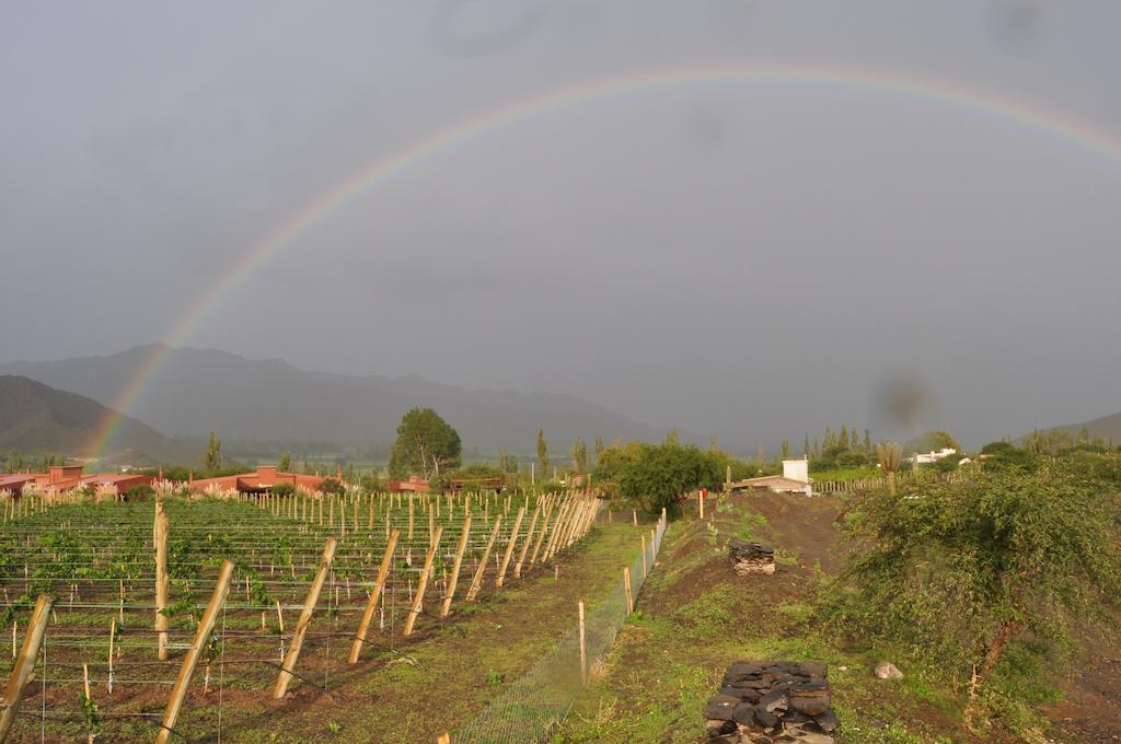 Miraluna Bodega Boutique Cachí Exteriör bild