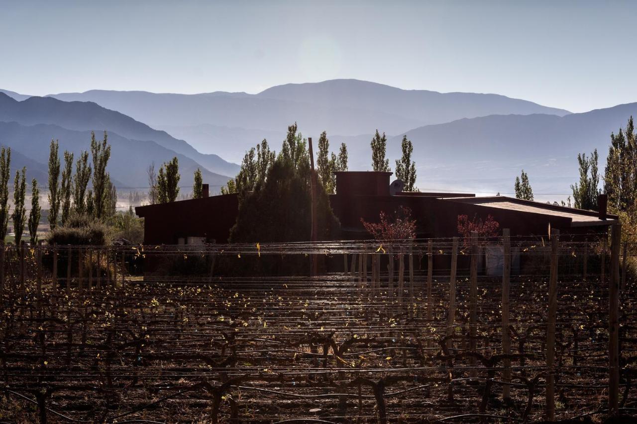 Miraluna Bodega Boutique Cachí Exteriör bild