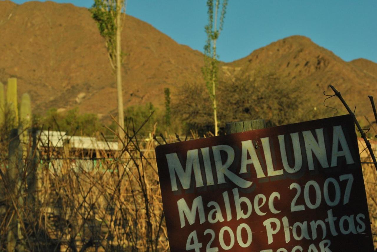 Miraluna Bodega Boutique Cachí Exteriör bild